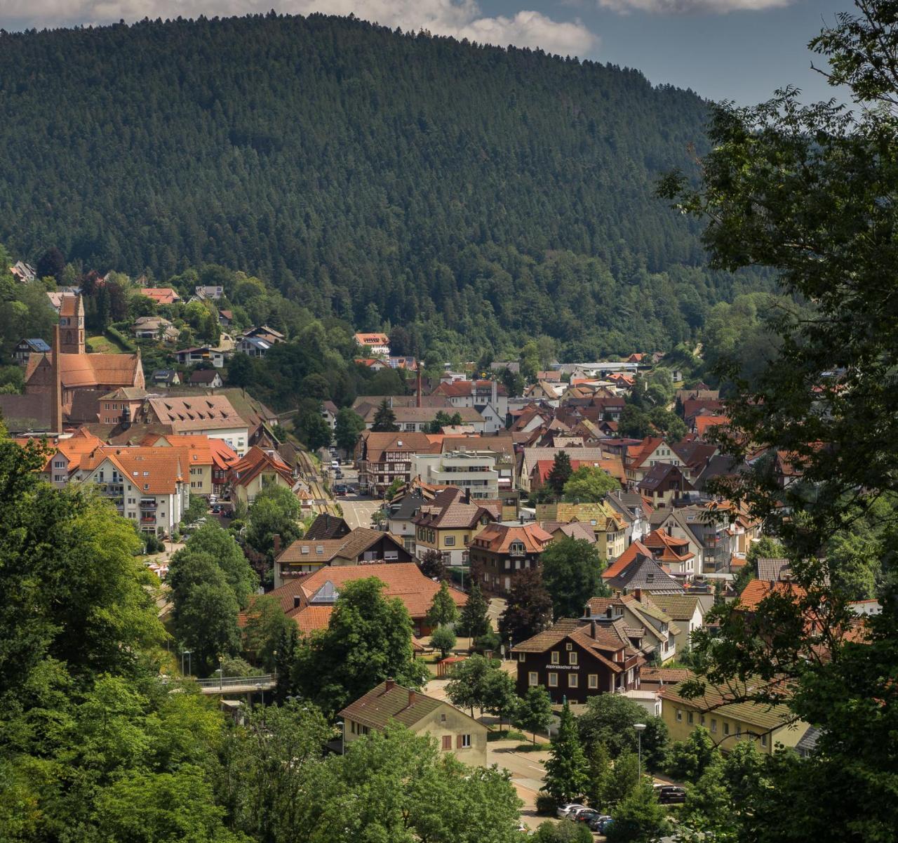 Kraehenbad Hotel Alpirsbach Exteriér fotografie