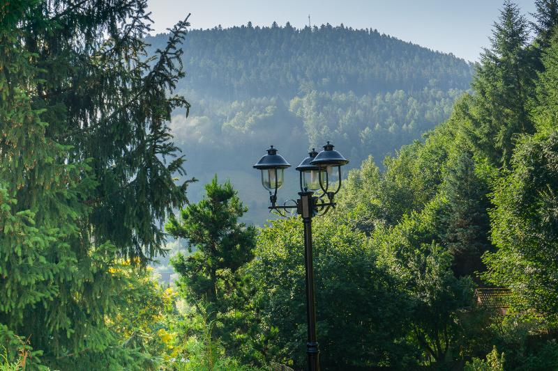 Kraehenbad Hotel Alpirsbach Exteriér fotografie