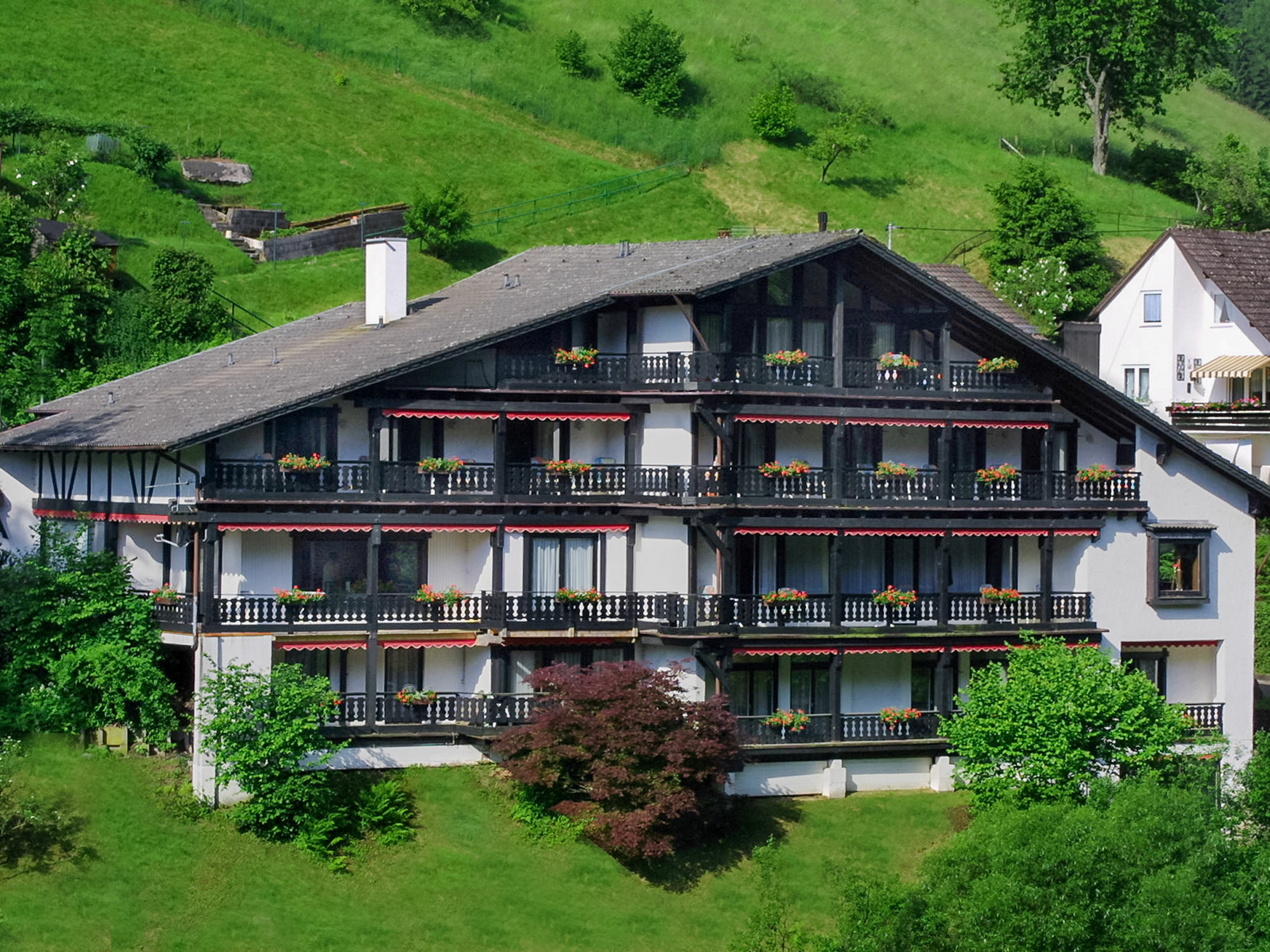 Kraehenbad Hotel Alpirsbach Exteriér fotografie
